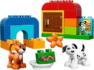 LEGO DUPLO 10570 All-in-One-Gift-Set - Building Set