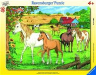 Ravensburger Koně - Puzzle