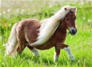 Ravensburger Little Pony - Jigsaw