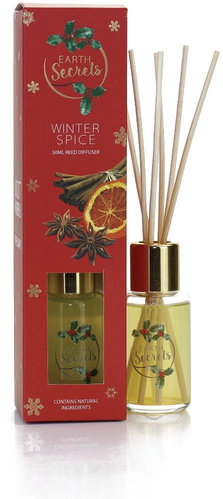 Ashleigh & Burwood Christmas EARTH SECRETS - WINTER SPICE, 50 ml - Incense Sticks - Main image