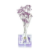 ASHLEIGH & BURWOOD Life In Bloom Plum Blossom & Pomegranate 150 ml - Reed Diffuser