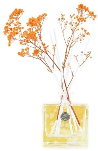 ASHLEIGH & BURWOOD Life In BloomOragne Blossom & Mandarin 150 ml - Tyčinkový difuzér - Hlavný obrázok