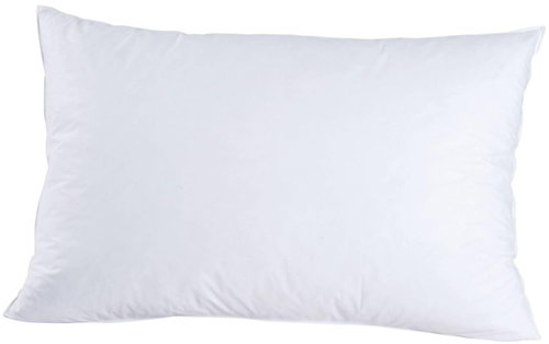 CHRISTIAN FISCHBACHER NEUCHATEL goose down feather, soft - Pillow - Main image
