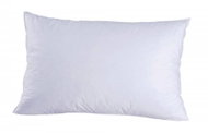 CHRISTIAN FISCHBACHER WENGEN goose down feather, medium stiff - Pillow