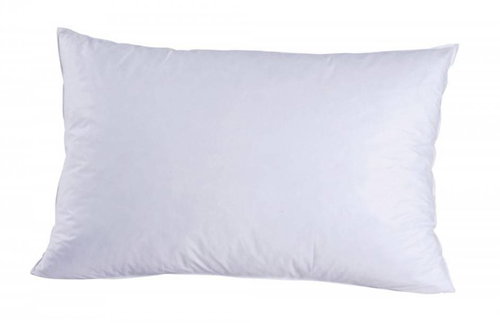 CHRISTIAN FISCHBACHER WENGEN goose down feather, rigid, 50 x 70 cm - Pillow - Main image