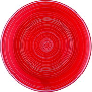 ROSENTHAL TAC STRIPES 2.0 RED, 21 cm - Plate