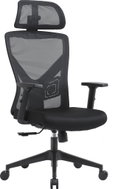 LTC Artagnan, Black - Office Chair