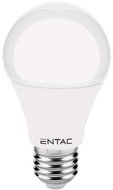 ENTAC LED bulb E27 10W 820lm, cold, equiv. 61W - LED Bulb