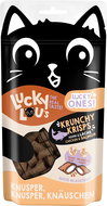 Lucky Lou Lucky Ones Krunchy Krisps Chicken and salmon 60 g - Cat Treats