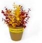 Květináč s mixem eukalyptu 22 x 15 cm - Dekorace