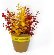 Květináč s mixem eukalyptu 22 x 15 cm - Dekorace