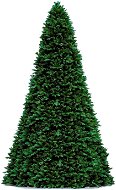 Vánoční stromek DELUXE jedle Bernard 600 cm - Vánoční stromek