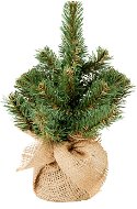 LAALU Vianočný stromček Narnie v kvetináči 25 cm - Vianočný stromček