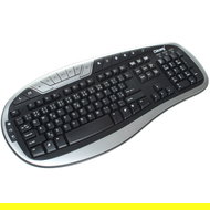 CHICONY KB-0512 CZ černá - Keyboard