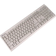 CHICONY KU-9810 CZ bílá - Keyboard