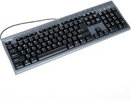 Chicony KU-9810 Black CZ - Keyboard