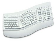 Klávesnice CHICONY KB-7903 ergonomická - PS/2 - Keyboard