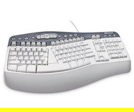 Klávesnice Microsoft Natural Multimedia Keyboard CZ - PS/2 - Keyboard
