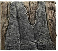 BACK TO NATURE SLIM-LINE 50 A Amazonas 50 × 45 cm - Aquarium Background