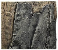 BACK TO NATURE SLIM-LINE 50 B Amazonas 50 × 45 cm - Aquarium Background