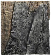 BACK TO NATURE SLIM-LINE 60 B Amazonas 50 × 55 cm - Aquarium Background