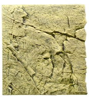 BACK TO NATURE SLIM-LINE 50 B Sand 50 × 45 cm - Aquarium Background