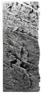 BACK TO NATURE SLIM-LINE 60 C Basalt Gray River 20 × 55 cm - Pozadí do akvária