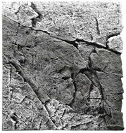 BACK TO NATURE SLIM-LINE 50 B Basalt/Gray River 50 × 45 cm - Aquarium Background