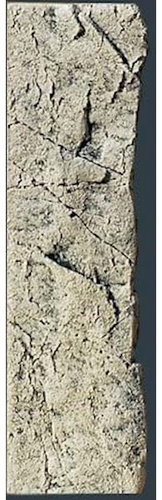 BACK TO NATURE SLIM-LINE 50 D White Limestone 10 × 45 cm - Aquarium Background - Main image