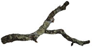 HOBBY Cork Branch Decoration 90cm - Aquarium Decoration