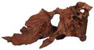MACENAUER dekorace Mangrovový kořen 22 cm - Aquarium Decoration