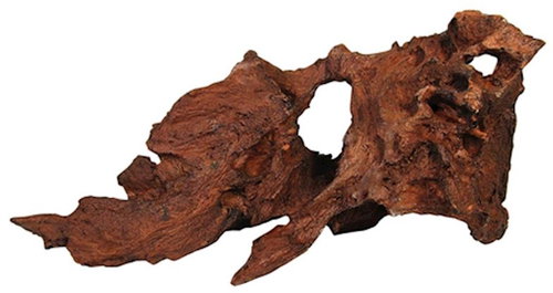 MACENAUER dekorace Mangrovový kořen 22 cm - Aquarium Decoration - Main image