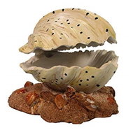 MACENAUER dekorace Mušle 12 cm - Aquarium Decoration