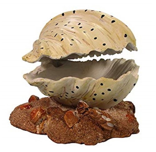 MACENAUER dekorace Mušle 12 cm - Aquarium Decoration - Main image