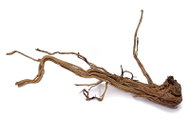MACENAUER kořen Curl Wood S, 30-55 cm - Aquarium Decoration