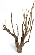 MACENAUER kořen Talawa Wood XL, 80-100 cm, 1 ks - Aquarium Decoration