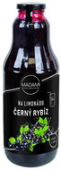 MADAMI Fruit for lemonade Blackcurrant 1000 ml - Syrup