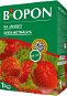 BOPON jahody 1 kg - Hnojivo