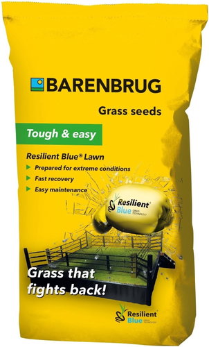BARENBRUG RESILIENT BLUE LAWN, 5 kg - Grass Mixture - Main image