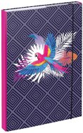 BAAGL Folders for school notebooks A4 Parrot - School Folder