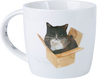 Maxwell & Williams Hrnek 400 ml Marc Martin Feline Friends Kočka v krabici - Hrnek