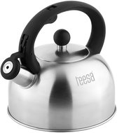 Teesa TSA0154 Teapot with whistle 2 l, stainless steel - Hot Water Kettle