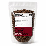 21 Coffee Mexico Chichiquila, Bourbon, Typica, Mundo Novo Washed 100g - Coffee