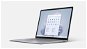 Microsoft Surface Laptop 4 Platinum - Notebook
