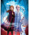 Disney Frozen II: Guiding Spirit