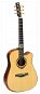 Gilmour RiAlto D EQ - Acoustic-Electric Guitar