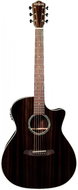 Rathbone R3ECE - Acoustic-Electric Guitar