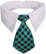 Sada 3ks Gentledog kravata pro psy tyrkysová, S - Dog Scarves