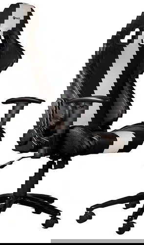 C-TECH PHOBOS Black & White - Gaming Chair - Main image