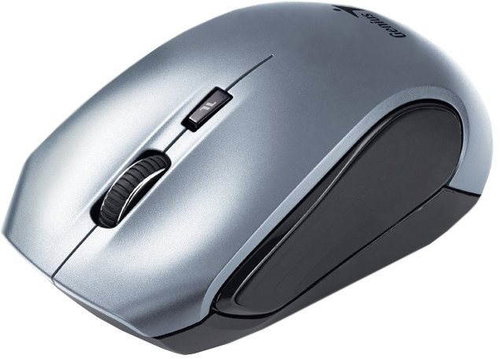 Genius DX-6800 black-silver Main image Genius DX-6800 black-silver - Mouse - Main image